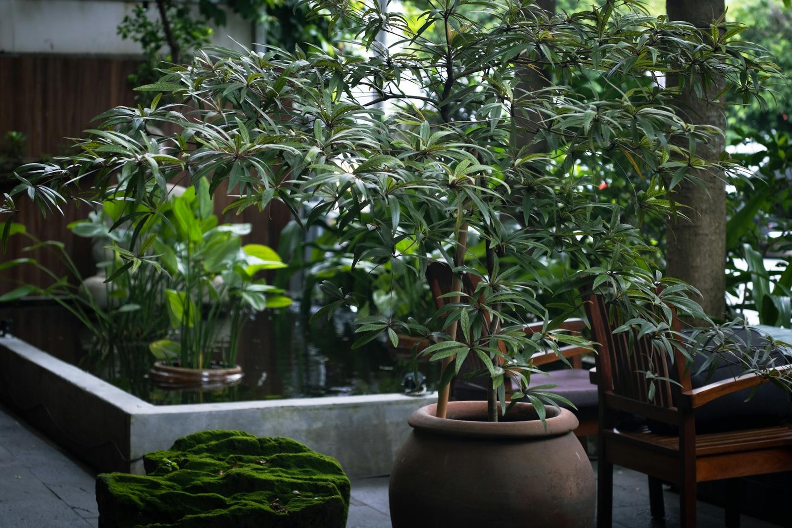 The Green Interior Trend: Choosing Environmentally Friendly Materials
