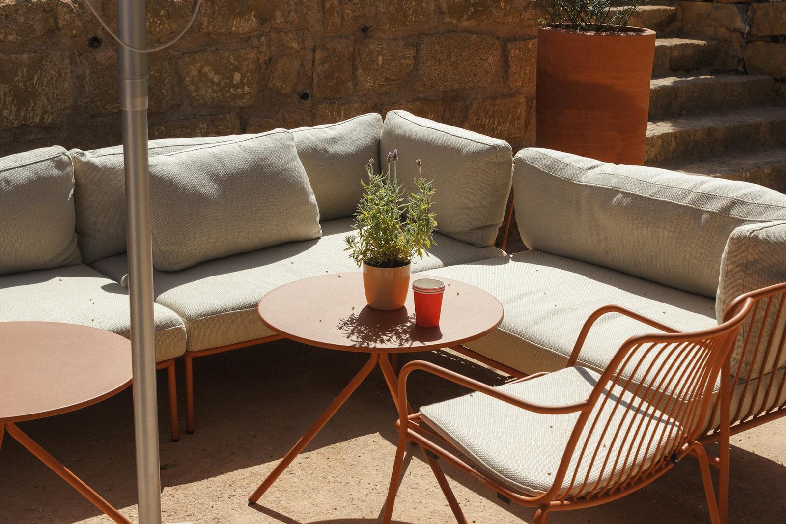 How to Build a Carbon-Neutral Furniture Brand